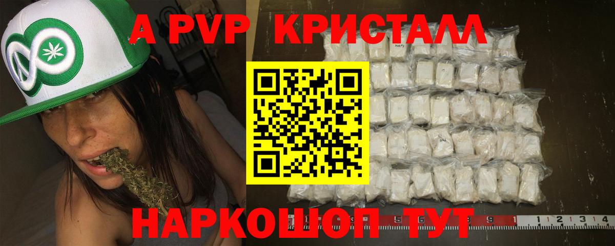 Альфа ПВП СК КРИС Киров