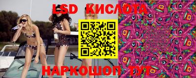 шишки Краснознаменск