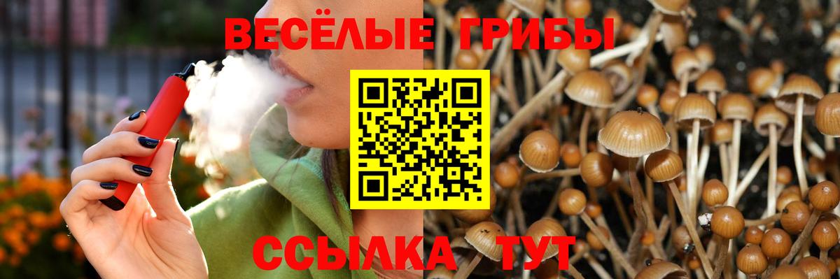 Киров  Псилоцибиновые грибы ЛСД  Вход с VPN  магазин продажи наркотиков  Галлюциногенные грибы ЛСД 